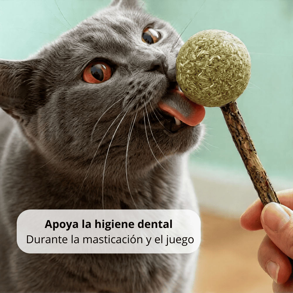 Dispositivo 'Calma Dental' Matatabi-Stick