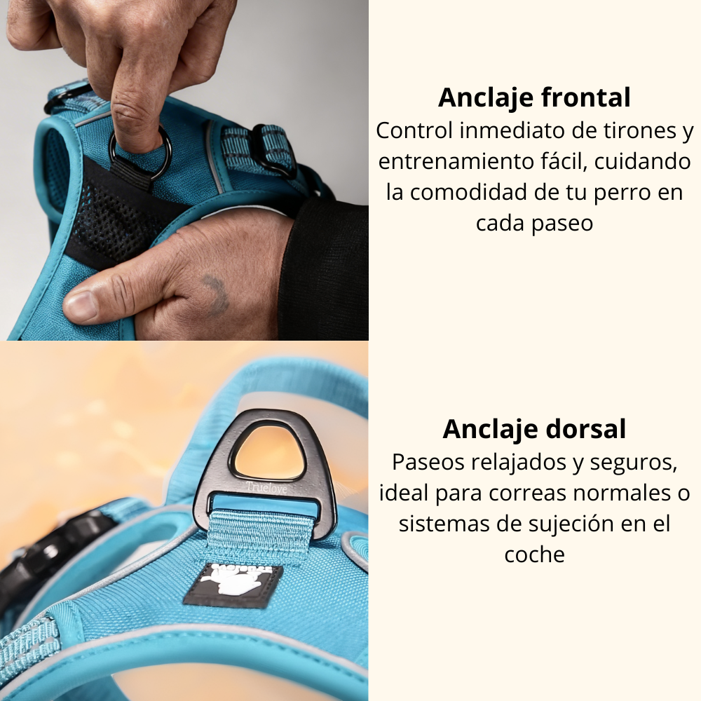 Arnés 'Control Total' Bio-Logic 3M