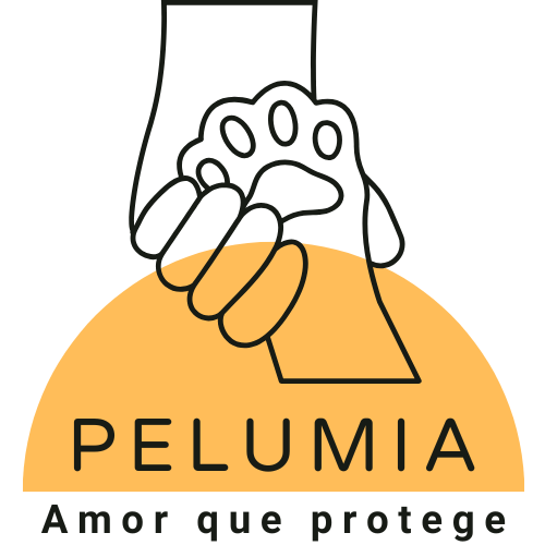 A minha loja