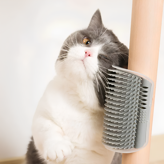 Cepillo de Masaje para Gatos - Esquinas y Protección