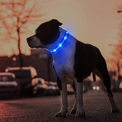 Collar Impermeable con Luz LED y Soporte para AirTag