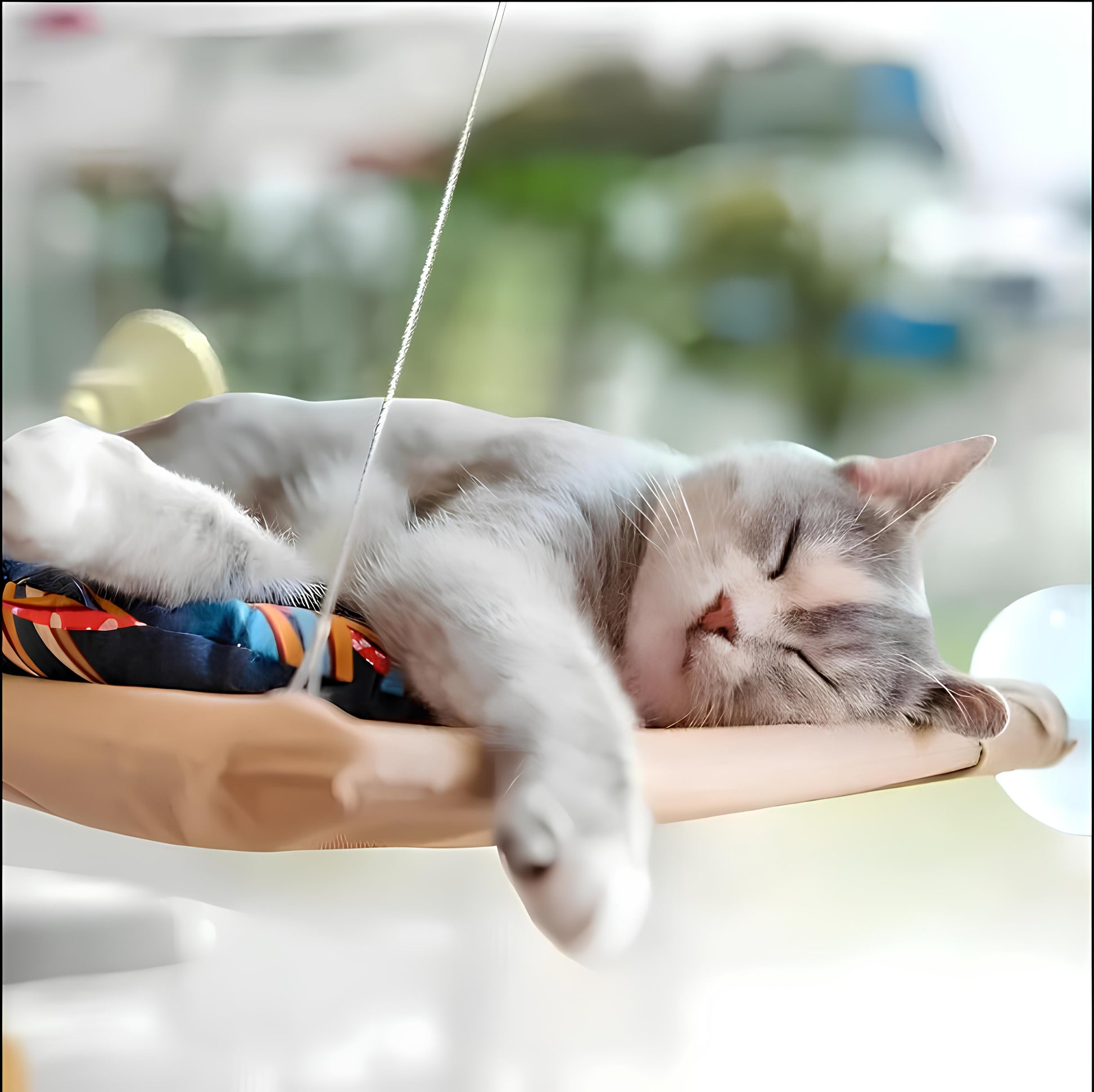 Hamaca para Gatos con Ventosas para Ventanas y Balcones