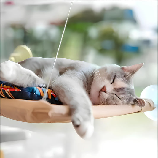 Hamaca para Gatos con Ventosas para Ventanas y Balcones