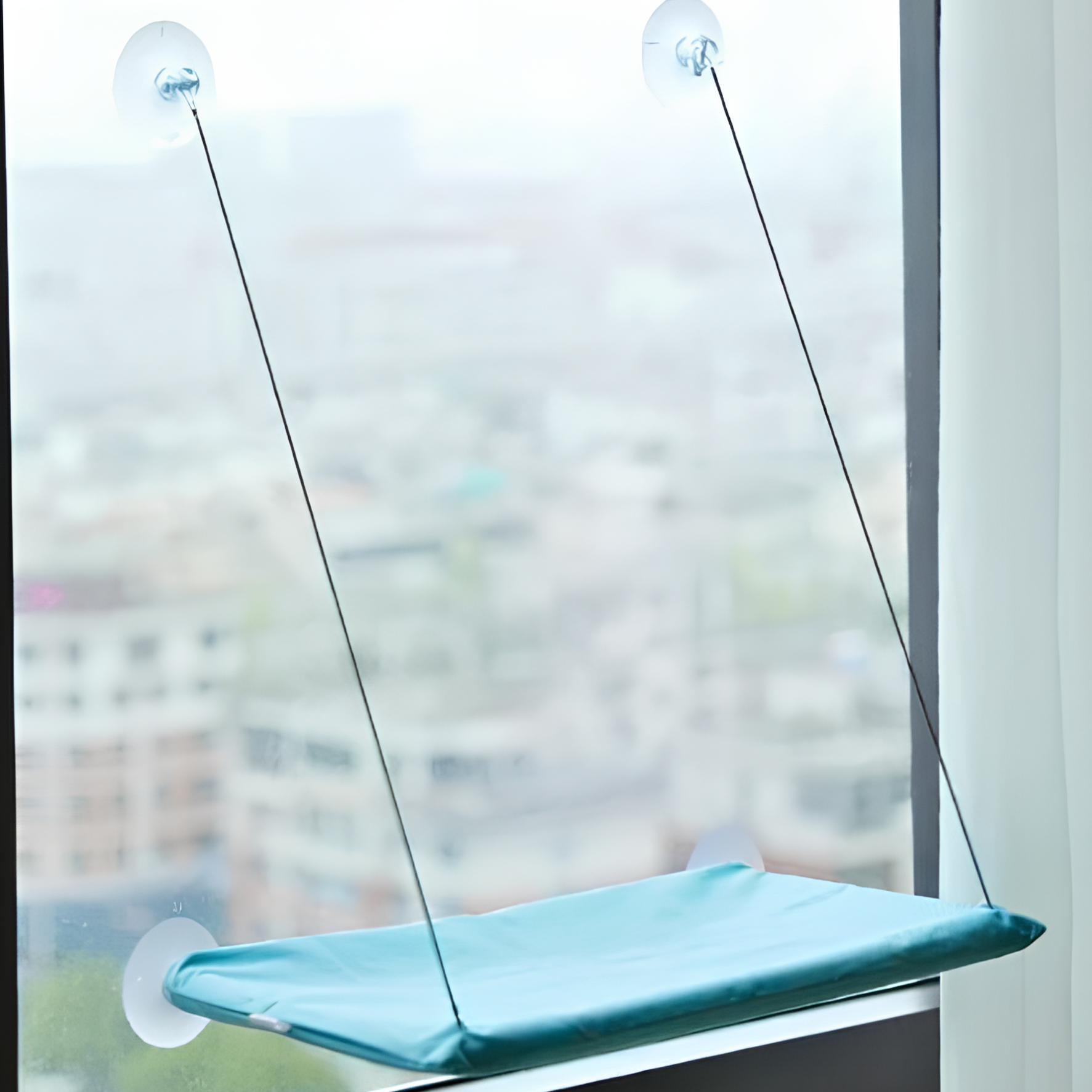 Hamaca para Gatos con Ventosas para Ventanas y Balcones_azul