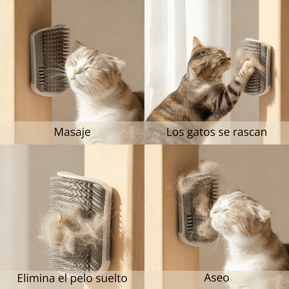 Masajeador 'Esquina Zen' Bio-Groom