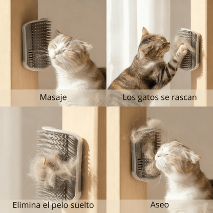 Masajeador 'Esquina Zen' Bio-Groom