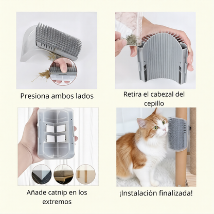 Masajeador 'Esquina Zen' Bio-Groom