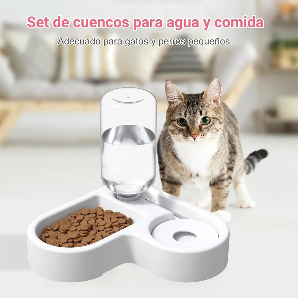 Comedero y fuente automática adecuado para perros y gatos pequeños