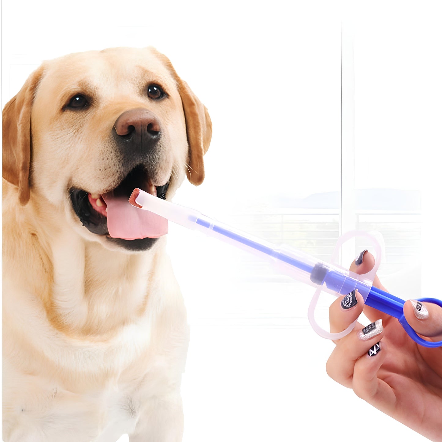 Dispensador de medicamentos para mascotas siendo usado en un perro