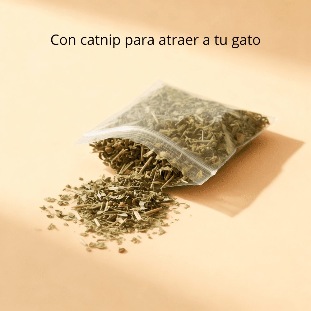 Cepillo de Masaje para Gatos - Esquinas y Protección