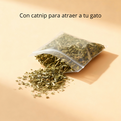 Masajeador 'Esquina Zen' Bio-Groom