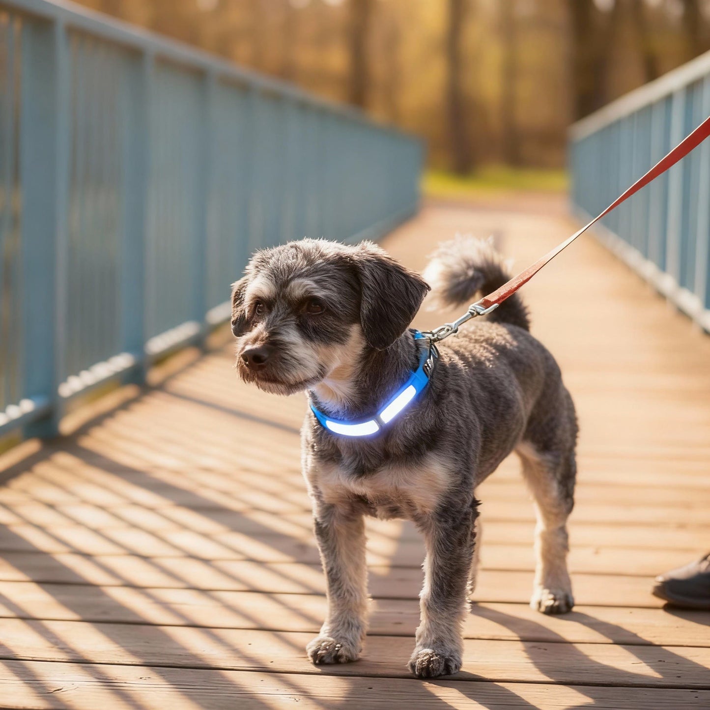 Collar Impermeable con Luz LED y Soporte para AirTag
