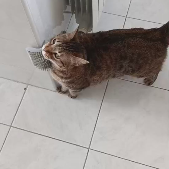 Video demostrativo del uso del cepillo de masaje para esquinas para gatos