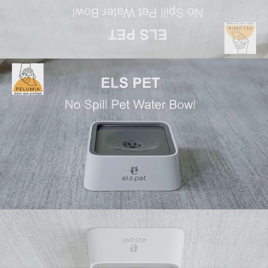 Video demostrativo del uso de la fuente de agua flotante para perros